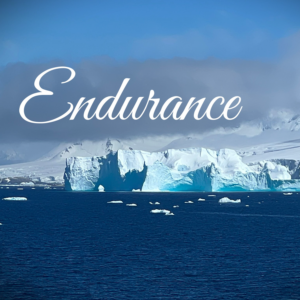 Endurance Cover